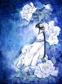 龙珠之超级宗师