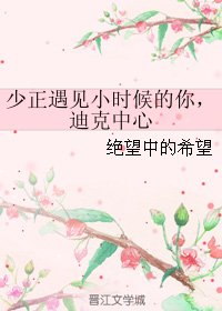 (少年正义联盟同人)少正遇见小时候的你,迪克中心