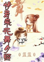 情若飞花舞夕照