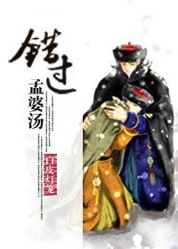 (數字同人)錯過孟婆湯(胤禟穿奕忻)
