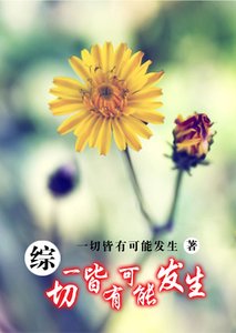 (综同人)一切皆有可能发生