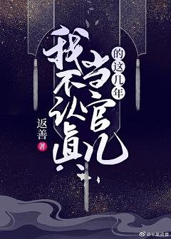 我不认真当官儿的这几年