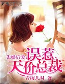 先婚后爱:误惹天价总裁