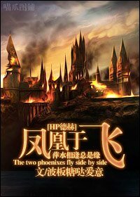 (HP德赫同人) The two phoenixes fly side by side/凤凰于飞