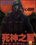饲神之翼