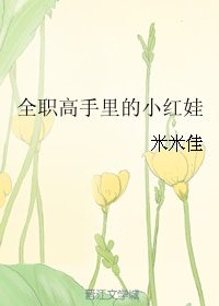 (BL/全职同人)全职高手里的小红娃