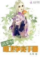 暗衛爭寵手冊