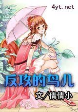 反攻的鸟儿/囧囧鸟事