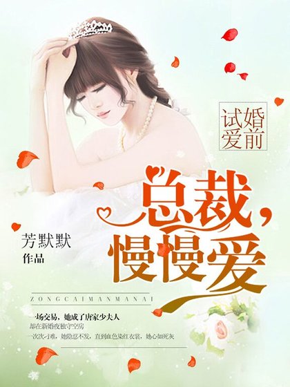 婚前试爱:总裁,慢慢爱