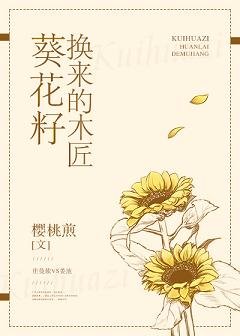 葵花籽換來的木匠