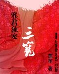 斜君独宠:三宠