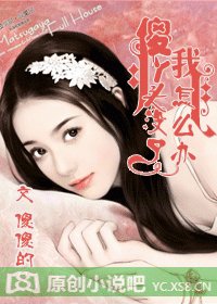 《傻丫頭沒了我怎麼辦》