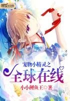 （寵物小精靈同人）寵物小精靈之全球線上