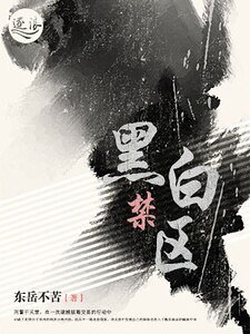 黑稗惶区