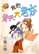 我的青天大老爷(出书版)