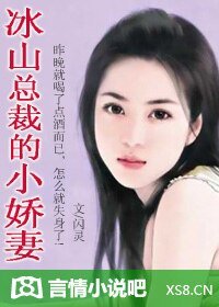 冰山总裁的小派妻