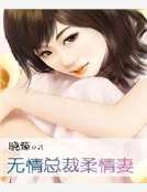 无情总裁邹情妻