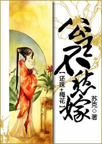 (还珠+梅花同人)公主不愁嫁