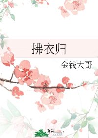 拂衣歸