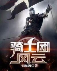 骑士团风云