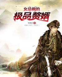 《女總裁的極品贅婿》