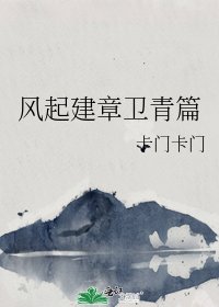 风起建章卫青篇