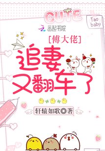 《傅大佬追妻又翻車了》