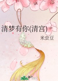清梦有你(清宫)