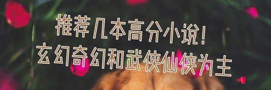 推荐几本高分小说！玄幻奇幻和武侠仙侠为主