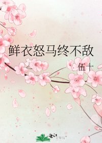 《鮮衣怒馬終不敵》