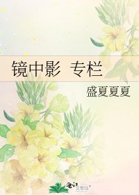 《鏡中影 專欄》