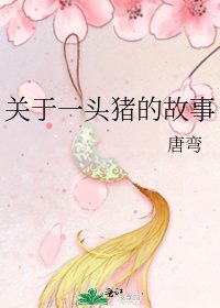《關於一頭豬的故事》