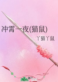 冲霄一夜(猫鼠)