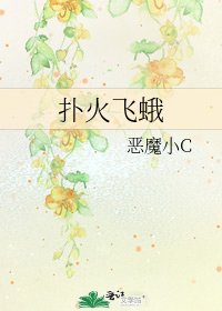 扑火飞蛾