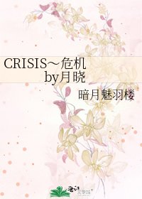 CRISIS~危机 by月晓