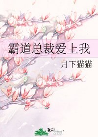 《霸道總裁愛上我》