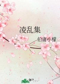 凌乱集