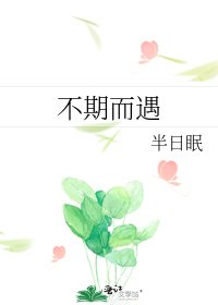 《不期而遇》
