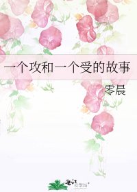 一个攻和一个受的故事