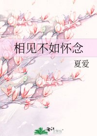 相见不如怀念