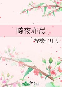 曦夜亦晨