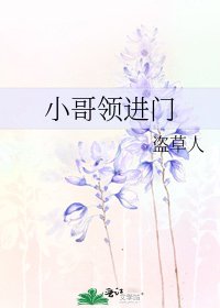 《小哥領進門》