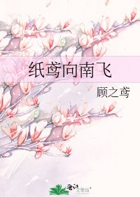纸鸢向南飞
