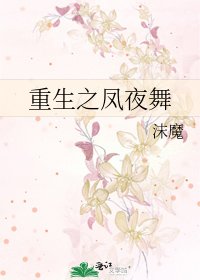 《重生之鳳夜舞》