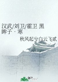 汉武/刘卫/霍卫 黑眸子•寒眸子•火眸子 番外 霍卫 不信天(前半部分