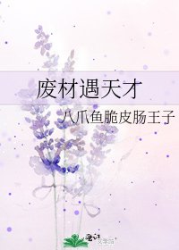 废材遇天才