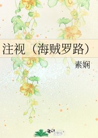 注視（海賊羅路）