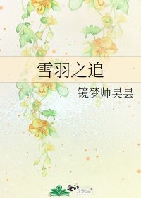 《雪羽之追》