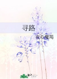 寻路