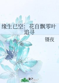 缘生已空:花自飘零叶追寻